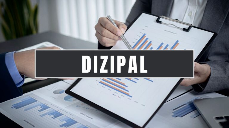 What Is Dizipal?