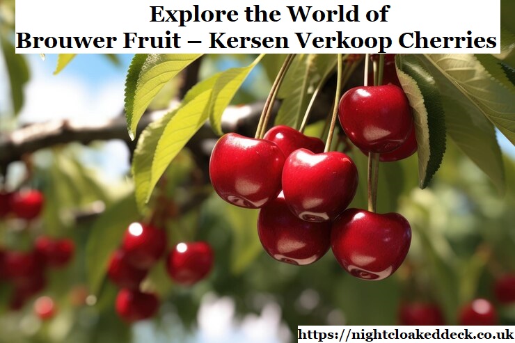 Explore the World of Brouwer Fruit – Kersen Verkoop Cherries