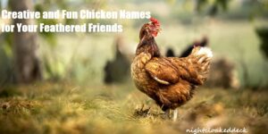 chicken names