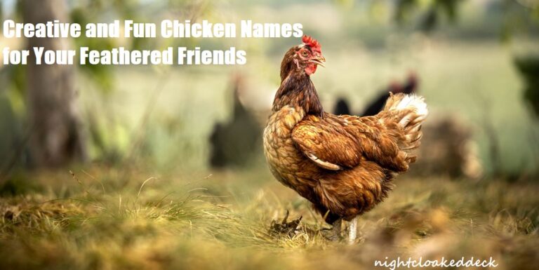 Creative and Fun Chicken Names for Your Feathered Friends