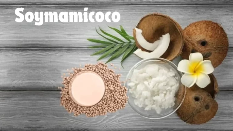 Soymamicoco: Origins and Benefits