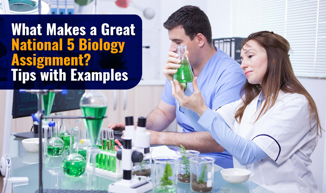 What Makes a Great National 5 Biology Assignment? Tips With Examples