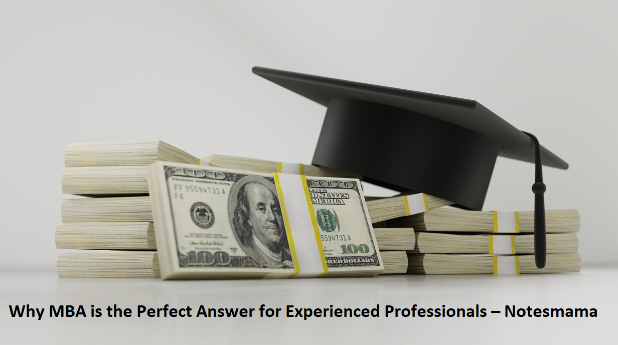 why mba answer for experienced professionals-notesmama