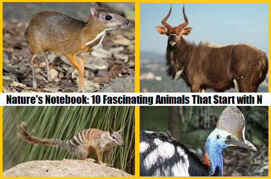 animals that start with n