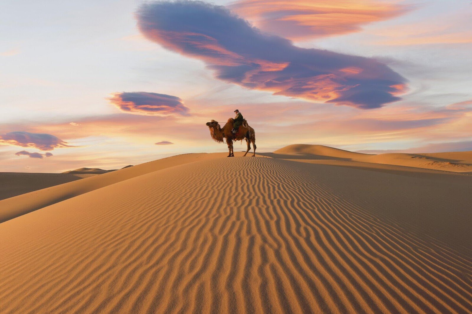 Navigating the Sands: Desert Survival Tips for Your Next Adventure