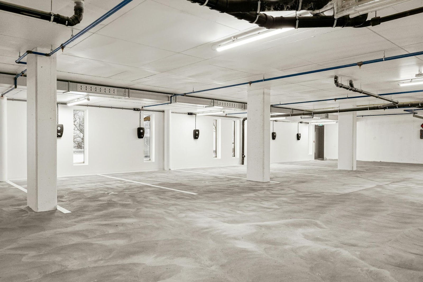 Top Solutions for Preventing Mold Growth in Basements