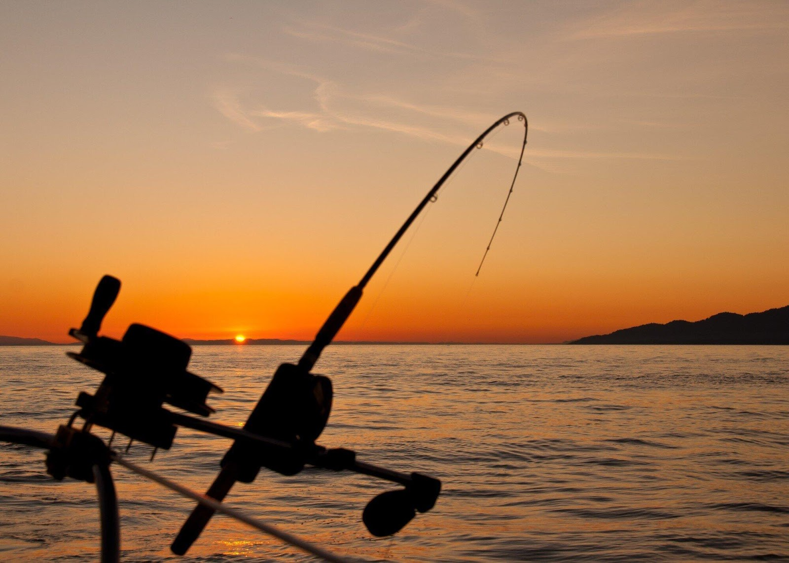 Top Inshore Fishing Charters for an Unforgettable Experience